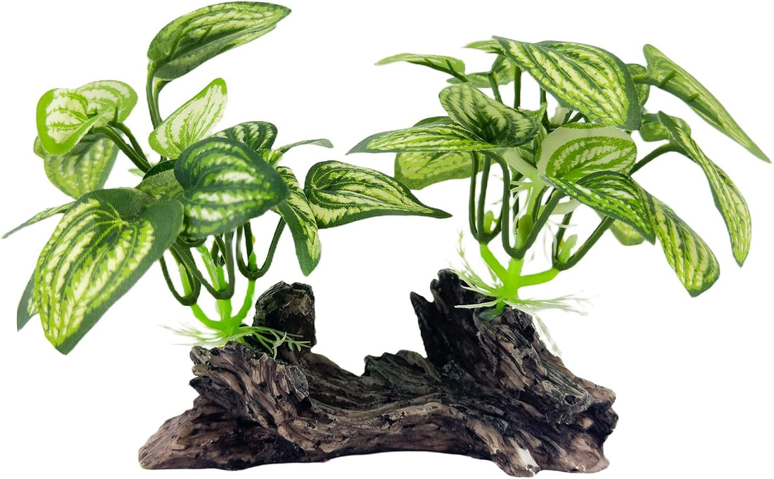 Fish Tank Decor, Aquarium Plants, Reptile Tank Accessories