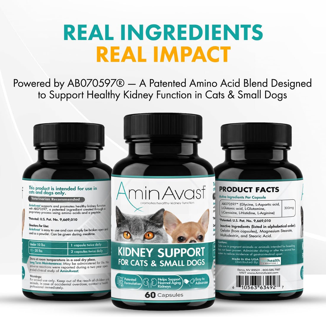 AminAvast 300mg Kidney Support for Cats & Small Dogs