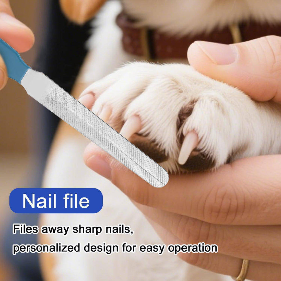 Bearded Dragon Nail Clippers and File