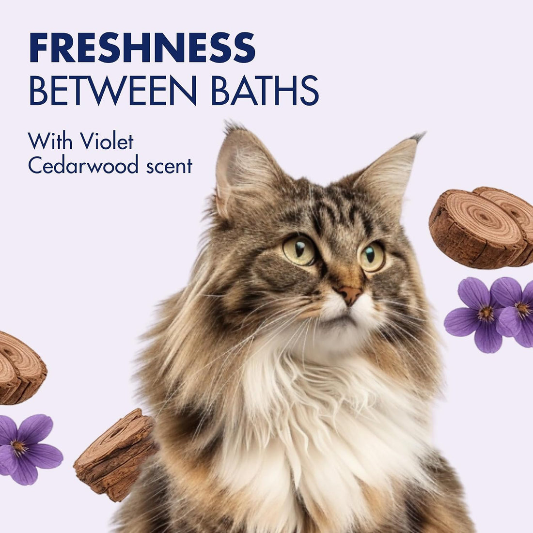 Arm & Hammer Cat Odor Control Wipes, Violet Cedarwood, 100 Count