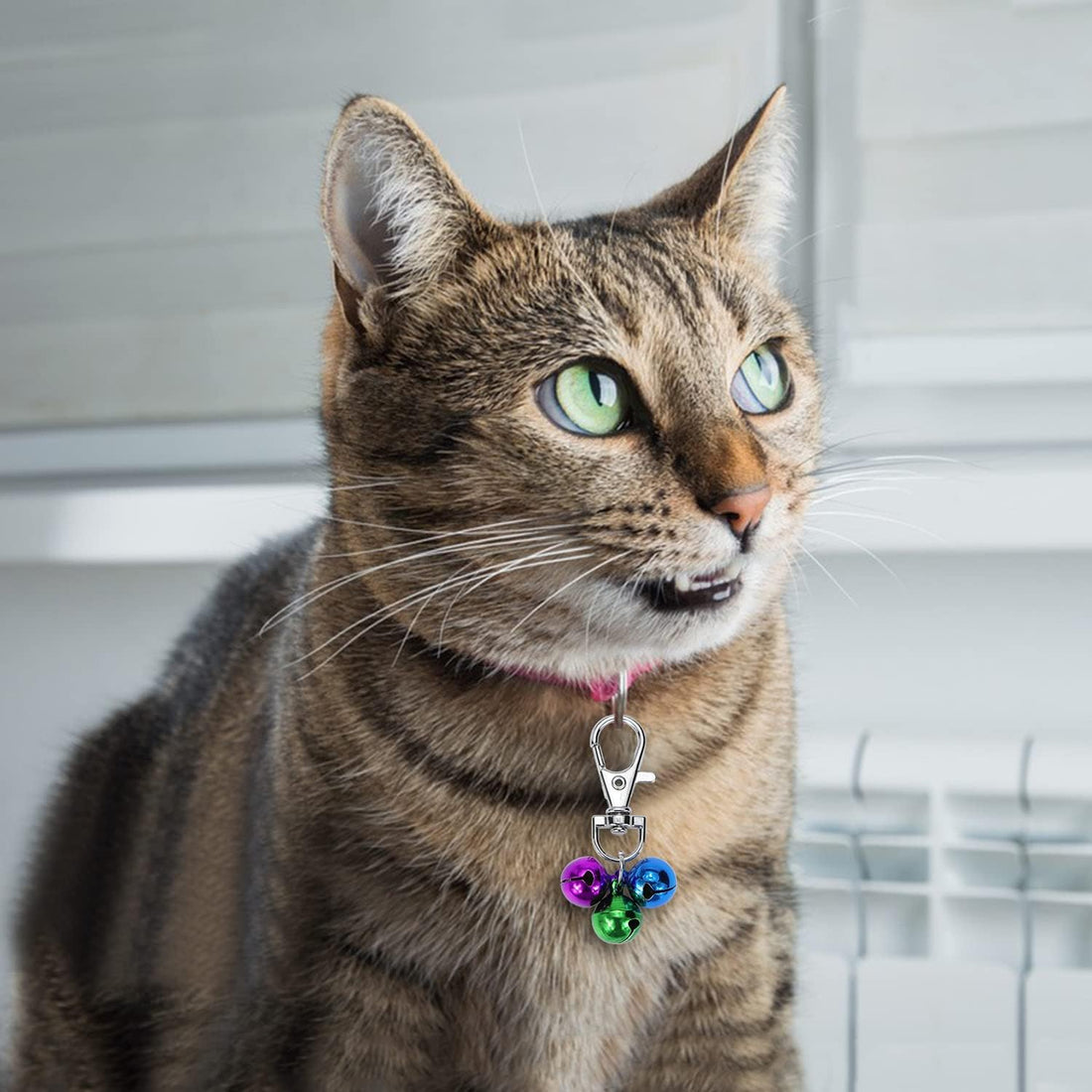 Wontee Cat Collar Bells Loud Dog Bell Training Charm Pendants for Pet