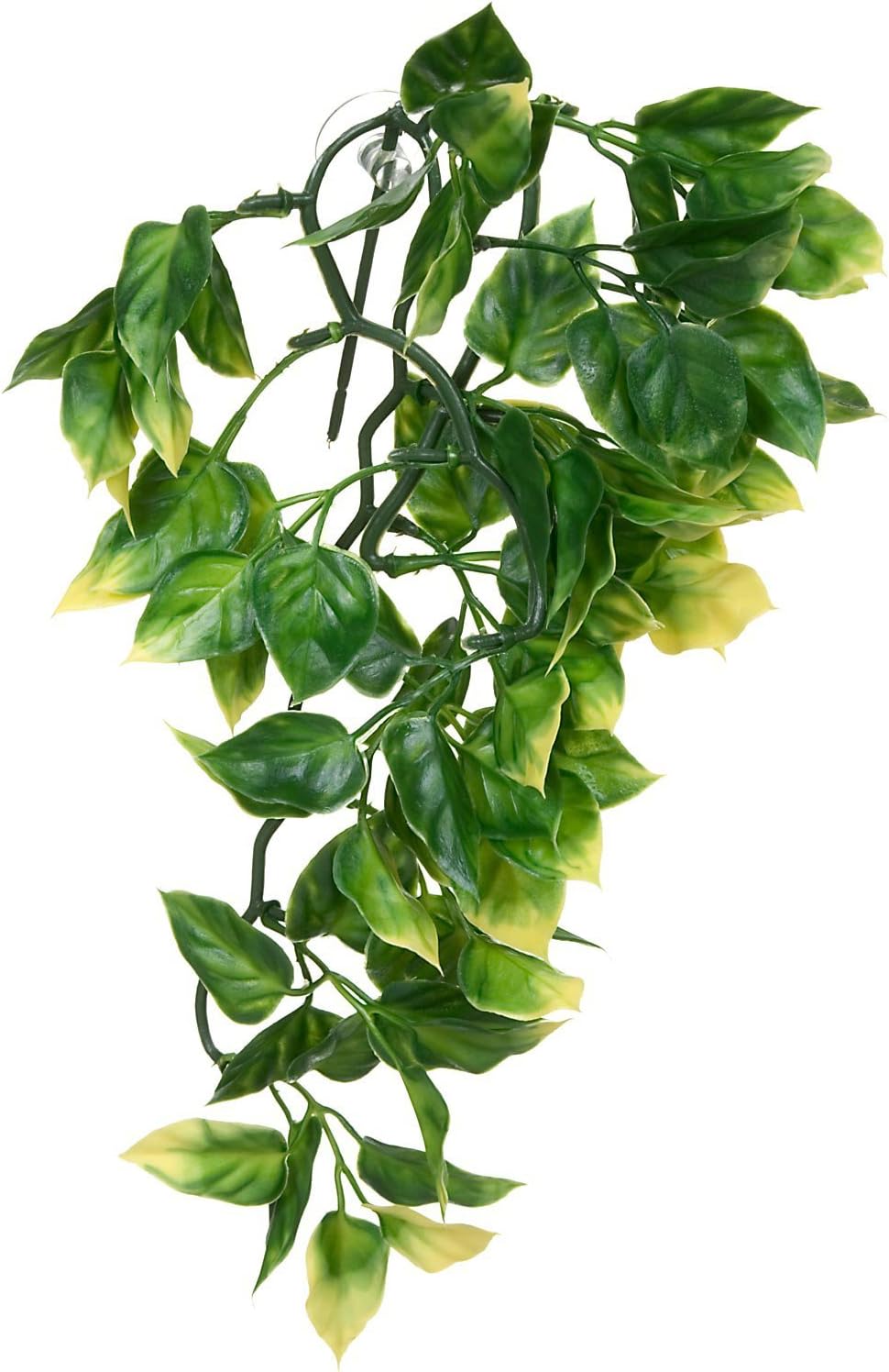Hagen Exo Terra Plastic Terrarium Plant, Small, Amapallo