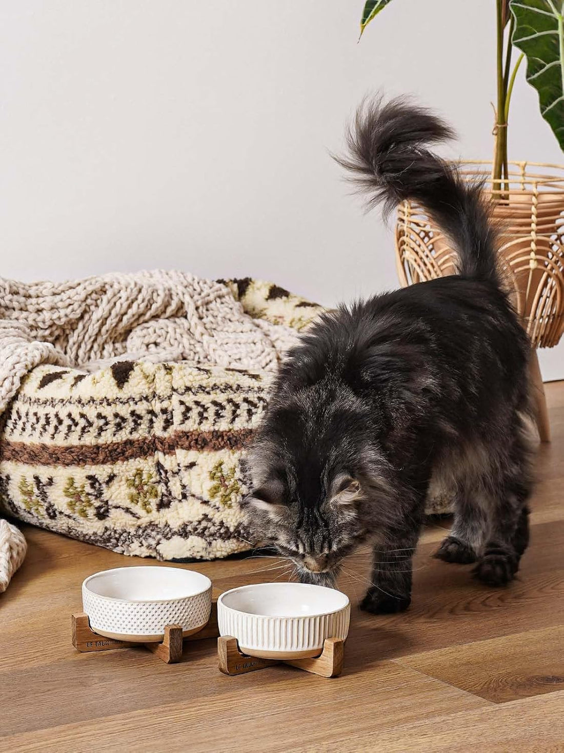 LE TAUCI PET Ceramic Dog and Cat Bowl Set with Acacia Wood Stand