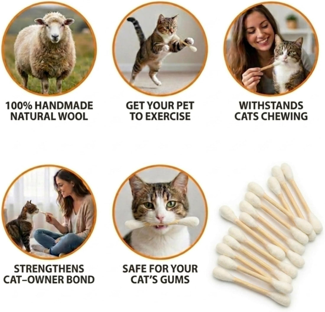 Glaciart One Swabs Cat Toys with Catnip - 6 Pk | Durable for Chew