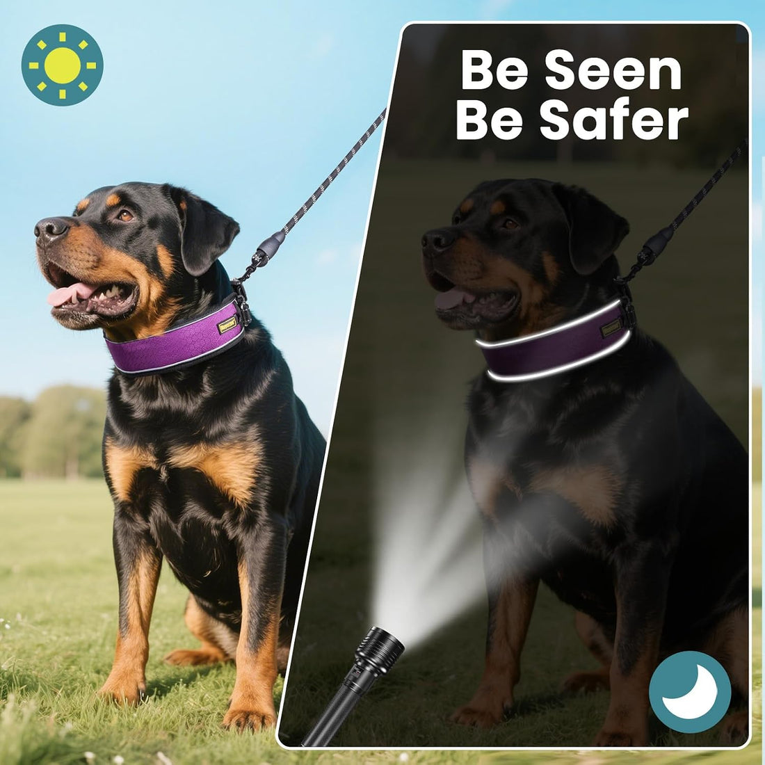 Mayerzon Patented No Pull Collar for Small Medium Large Dogs, Purple