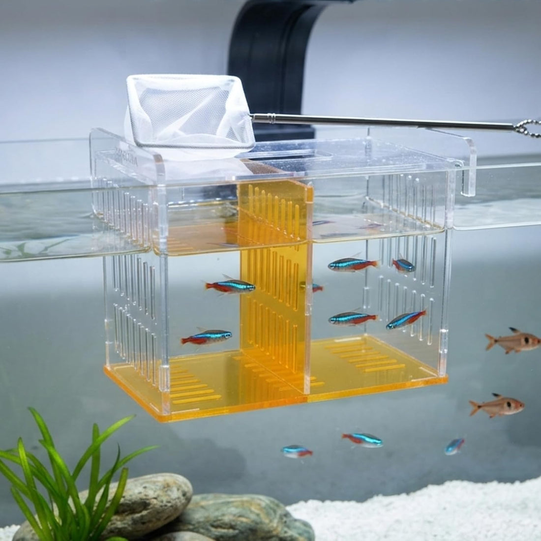 Fish Tank Divider & Breeder Box, Acrylic Aquarium Isolation Hatchery