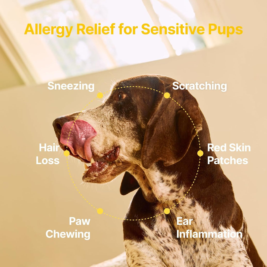 PENPEN Dog Allergy Chews - Anti-Itch & Itchy Skin Support for Dogs