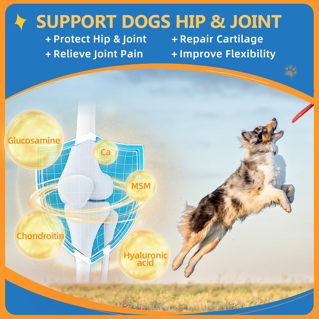 ZEBORA Dog Multivitamin Powder with Glucosamine