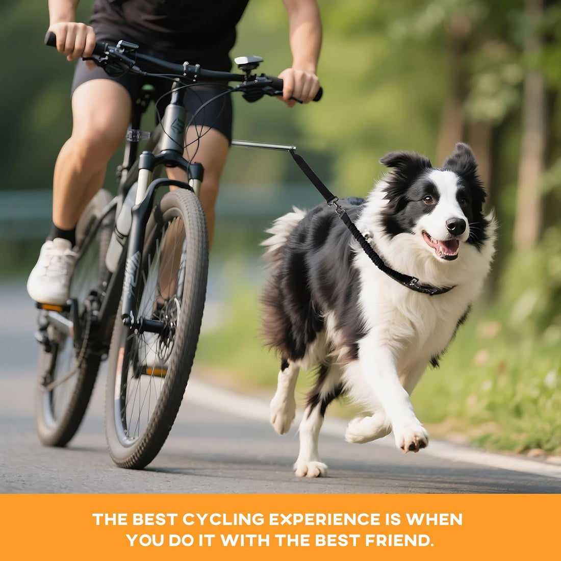 Hands Free Dog Bike Leash for Large Dogs, Heavy Duty Buffer Rope