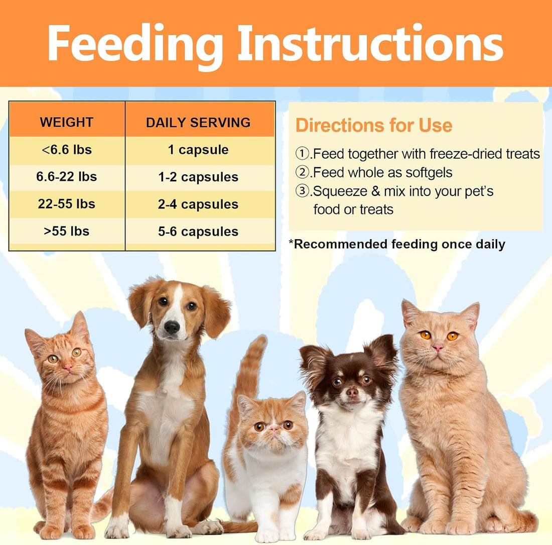 Freeze-Dried Chicken Cat Treats with Omega-3 Fish Oil Capsules