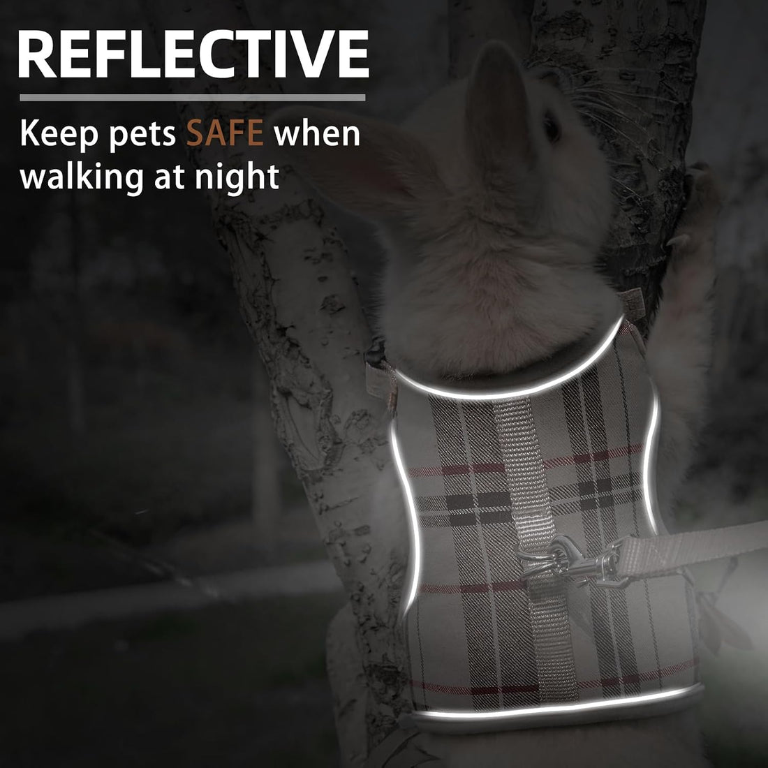 PUPTECK Bunny Rabbit Harness and Leash Set