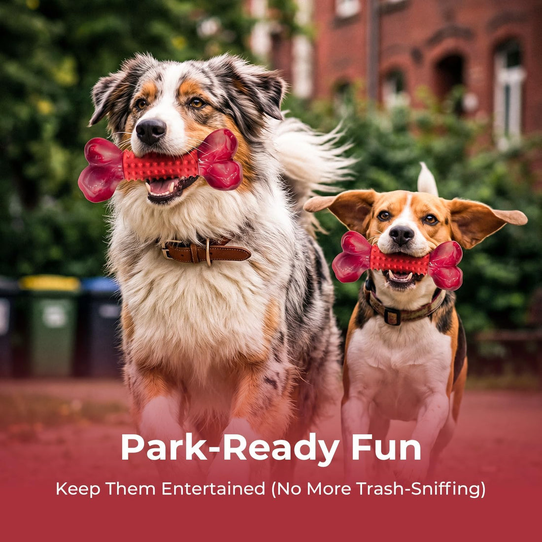 Apasiri Tough Dog Toys for Aggressive Chewers