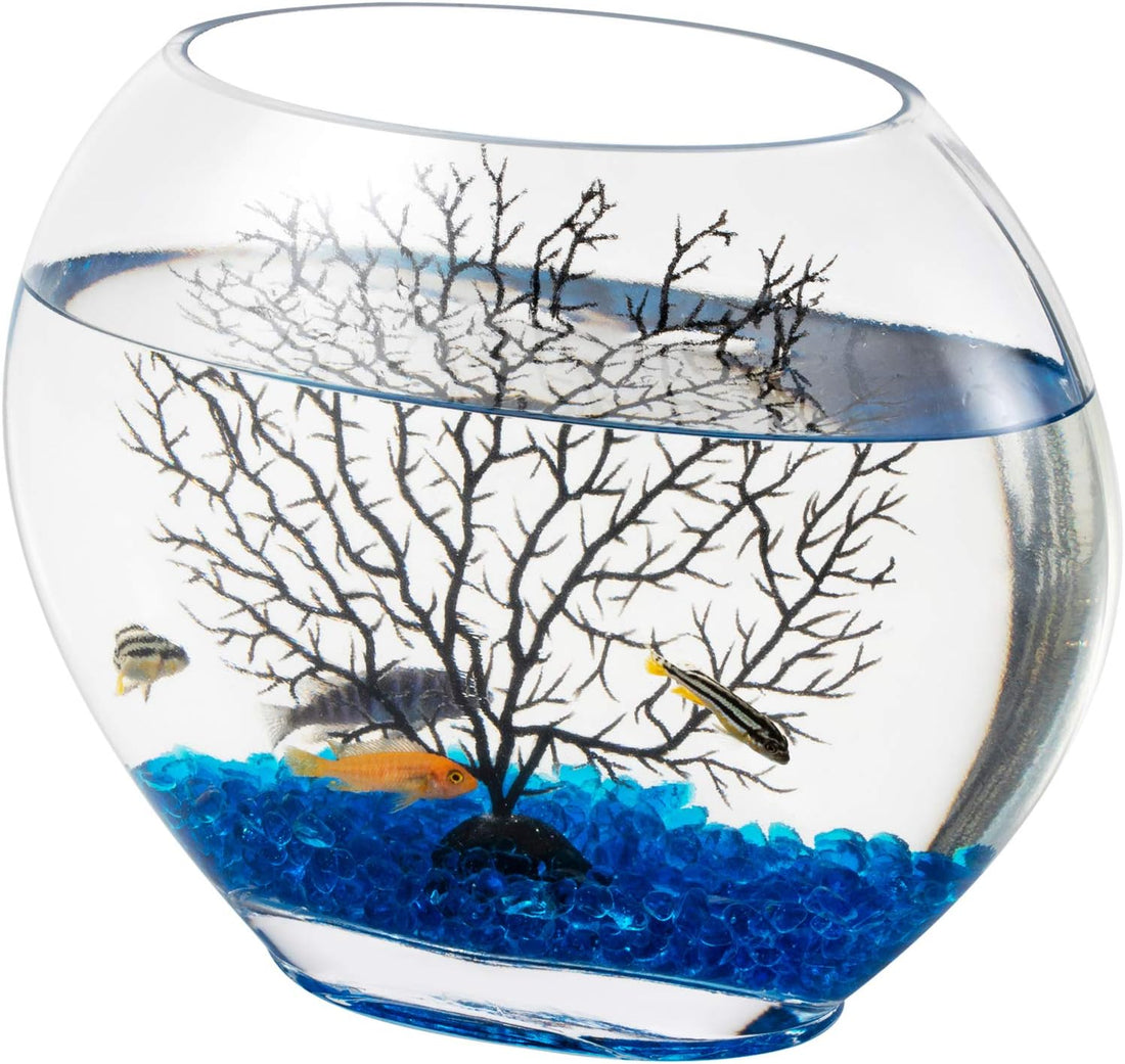 hygger Mini Glass Oblate Fish Bowl Kit
