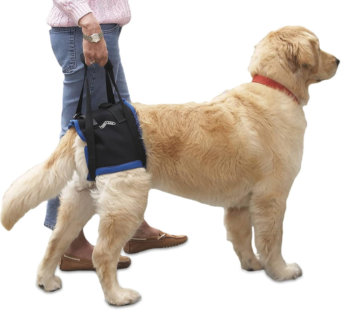 Walkabout Back End Harness (med/Large