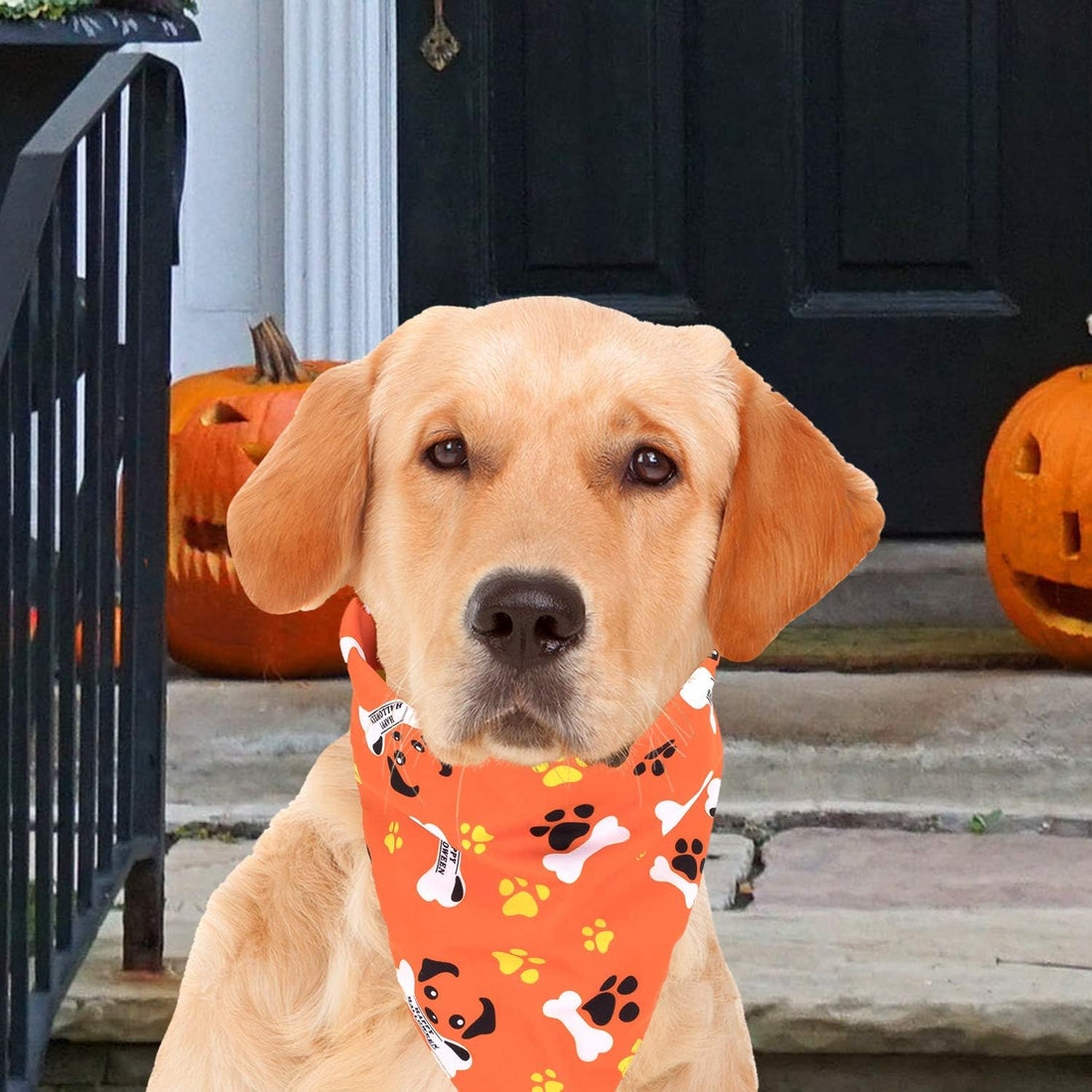 Whaline 5 Pack Halloween Dog Bandanas