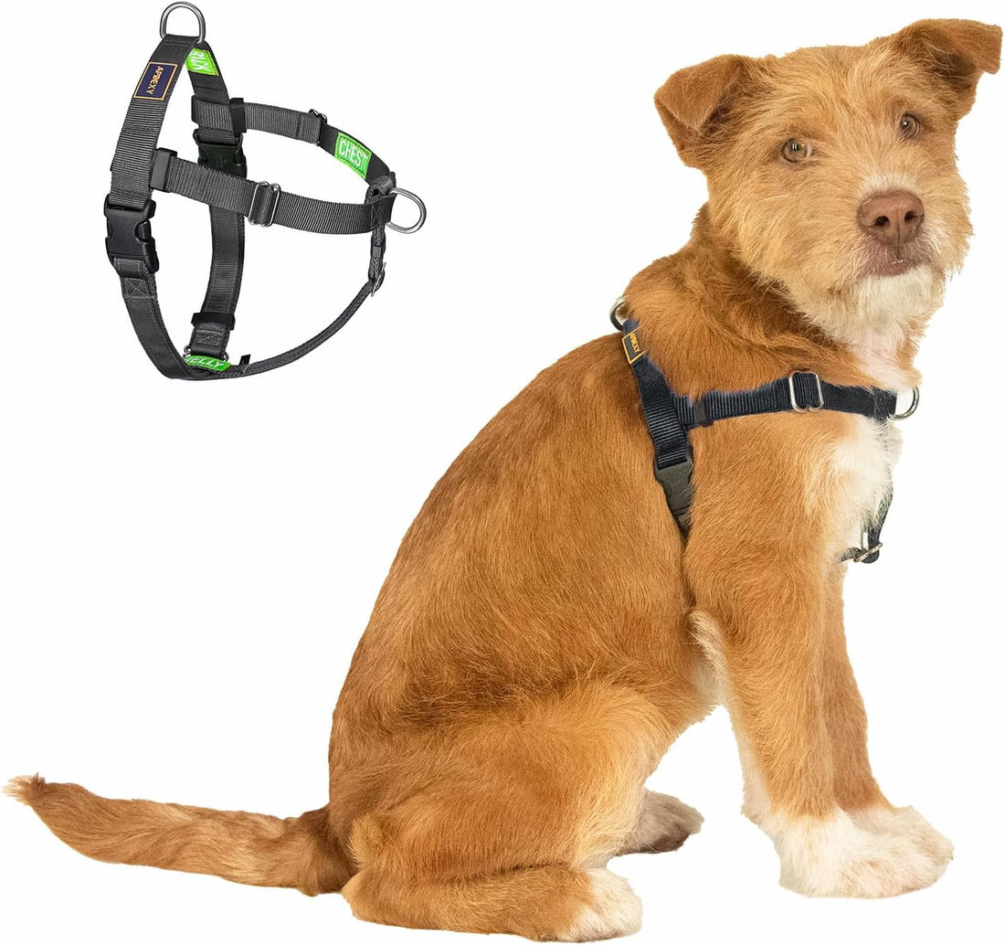 Easy Walk No Pull Dog Harness