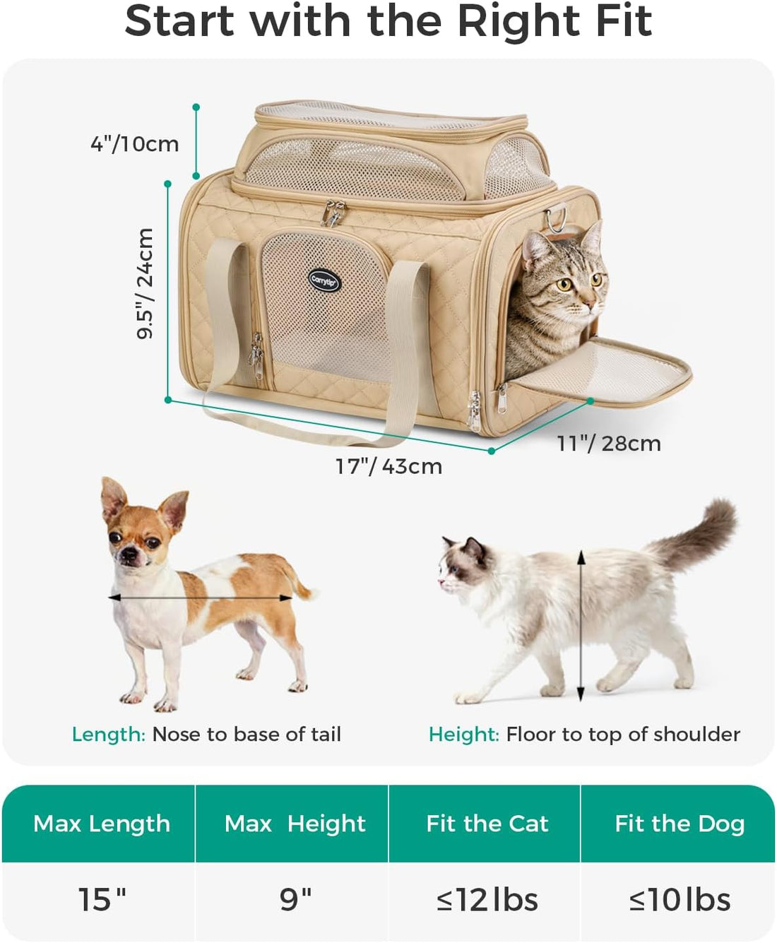 CarryTip Cat Carrier Airline Approved 17x11x9.5 Inches