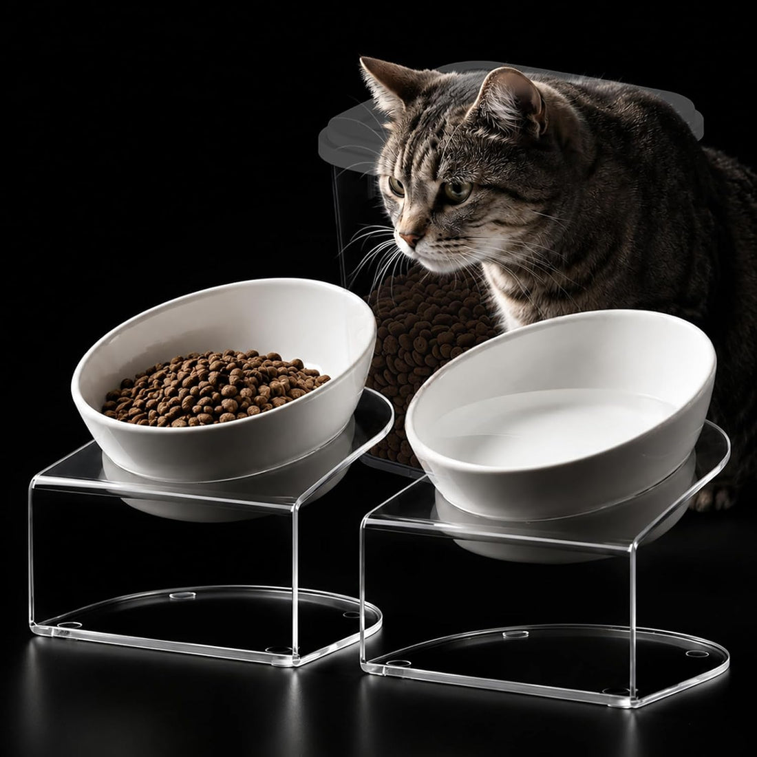 LivLab Mker Dog Food Storage Container 10 Lbs