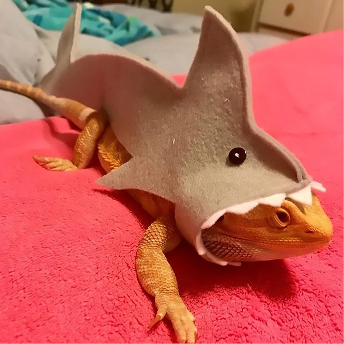 3 Pcs Shark Bearded Dragon Costume Felt Lizard Outfit Halloween Small