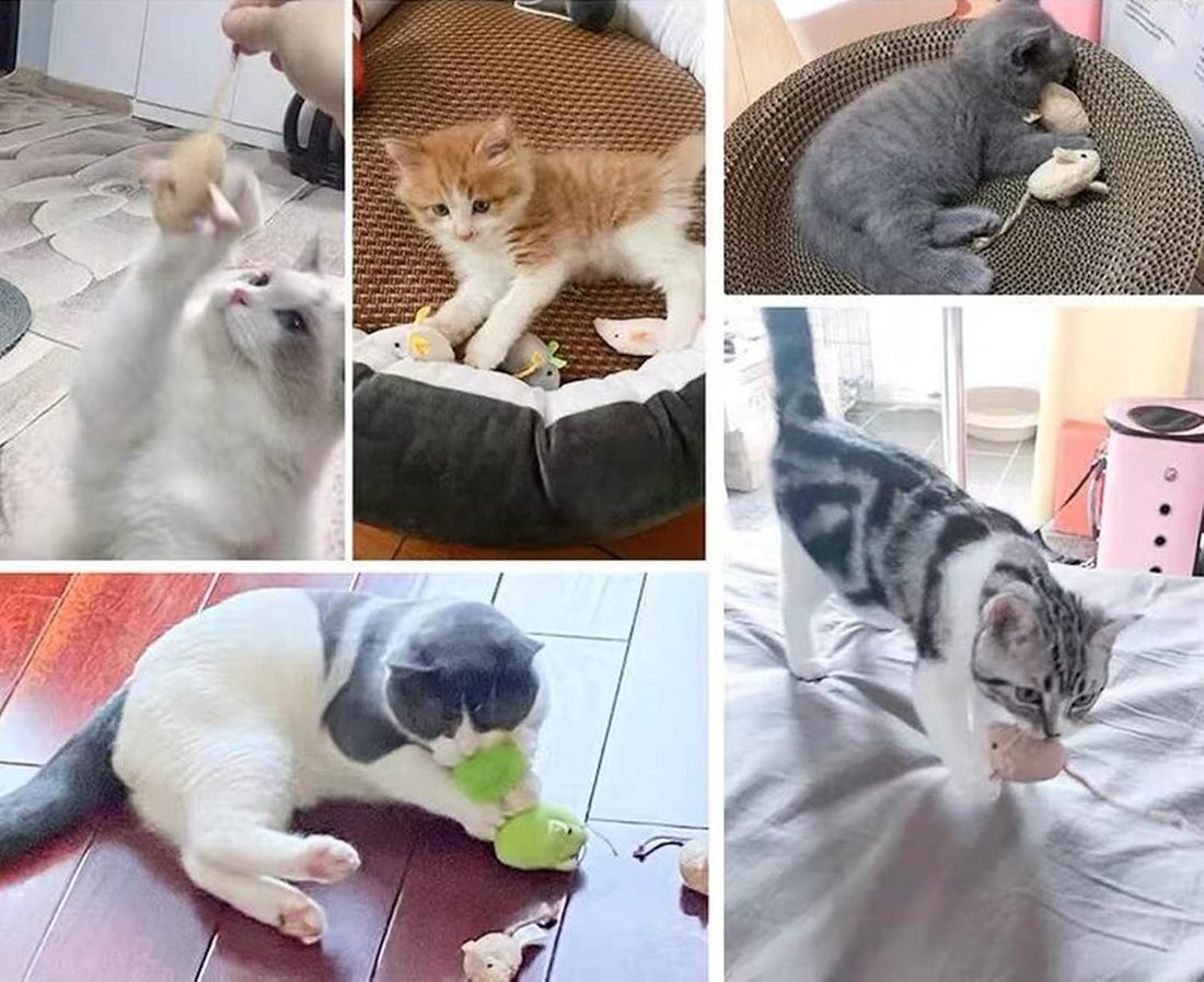 Catnip Toy, Cats Mouse Plush Cat Toys
