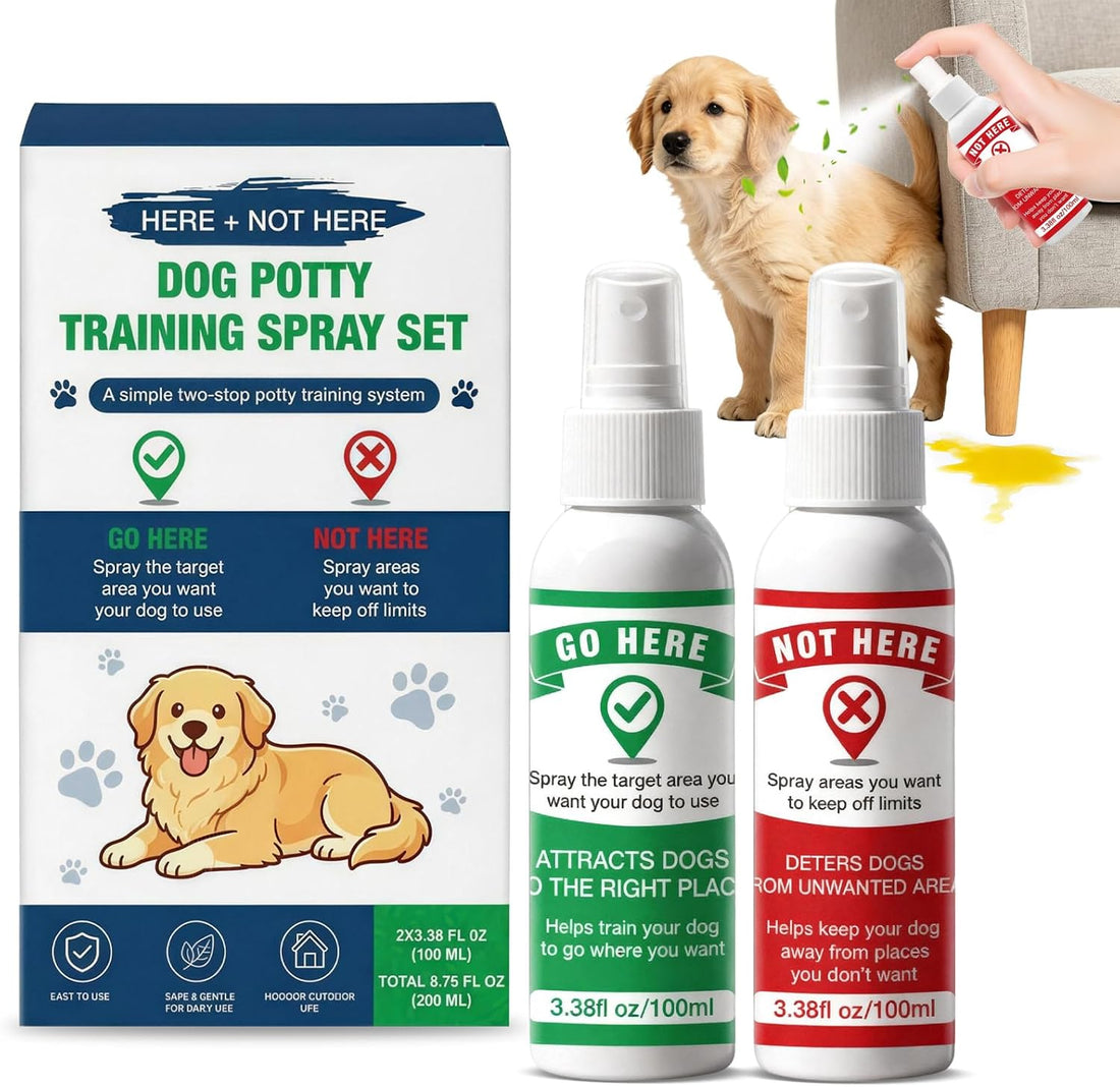 QHZ Potty Training Spray for Dogs and Puppies
