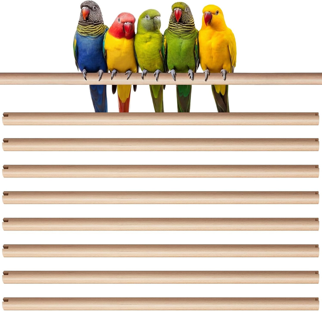 Sintuff Bird Perches Natural Wood Double Slots, 24 Inches, 4 Pcs