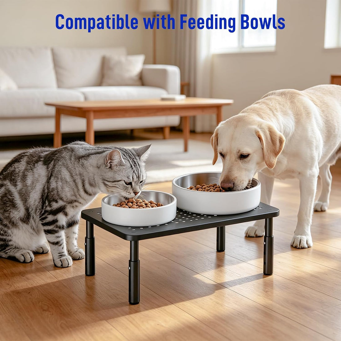 Automatic Cat Feeder Stand, Elevated Cat Food Stand & Bowl Riser