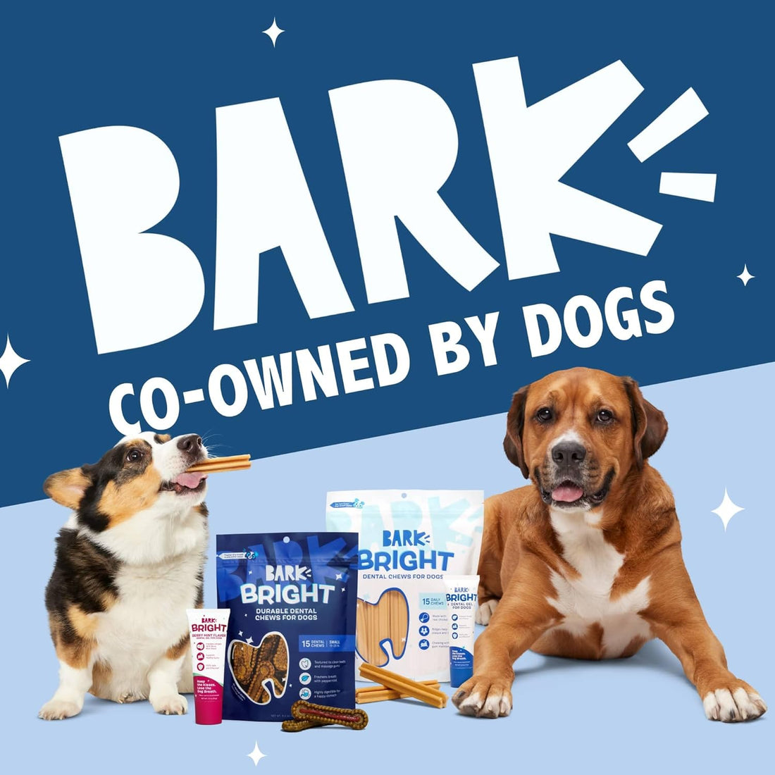 BARKBOX Bright Dental Care Kit - for Dogs - for Large Breeds (50+ lbs)