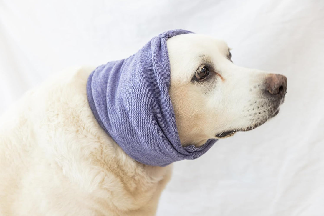 Dog Ear Muffs for Noise Protection Purple L