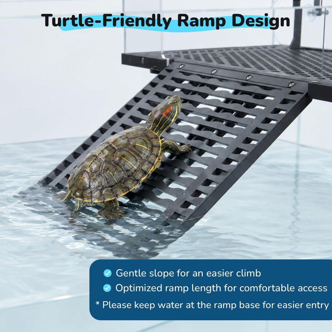 Escape-Proof Turtle Basking Platform Enclosure for 60-Gallon+ Tanks