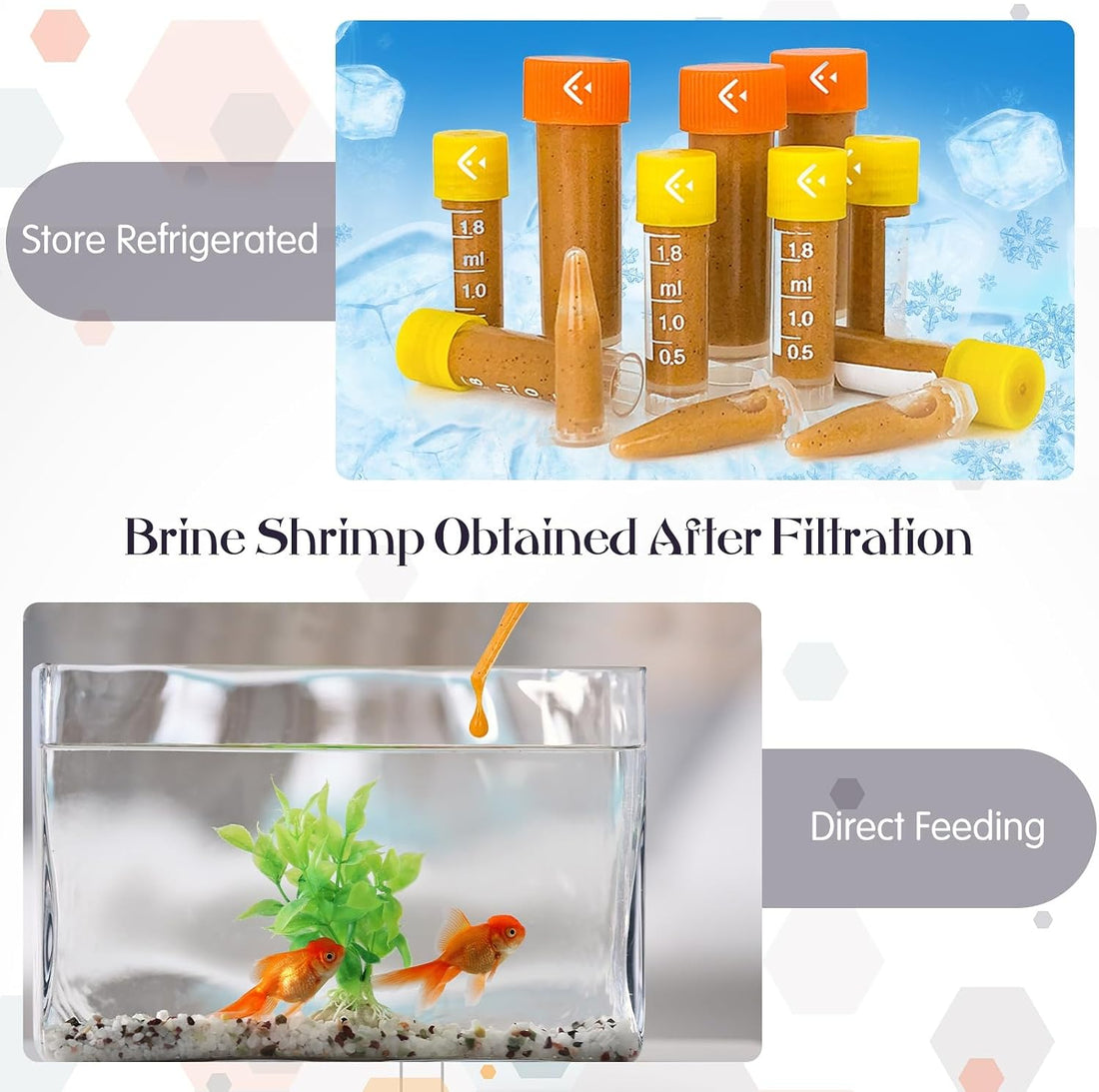 Yinkin 2 Pcs Baby Brine Shrimp Net Sieve 80 Mesh 200 Mesh Kit
