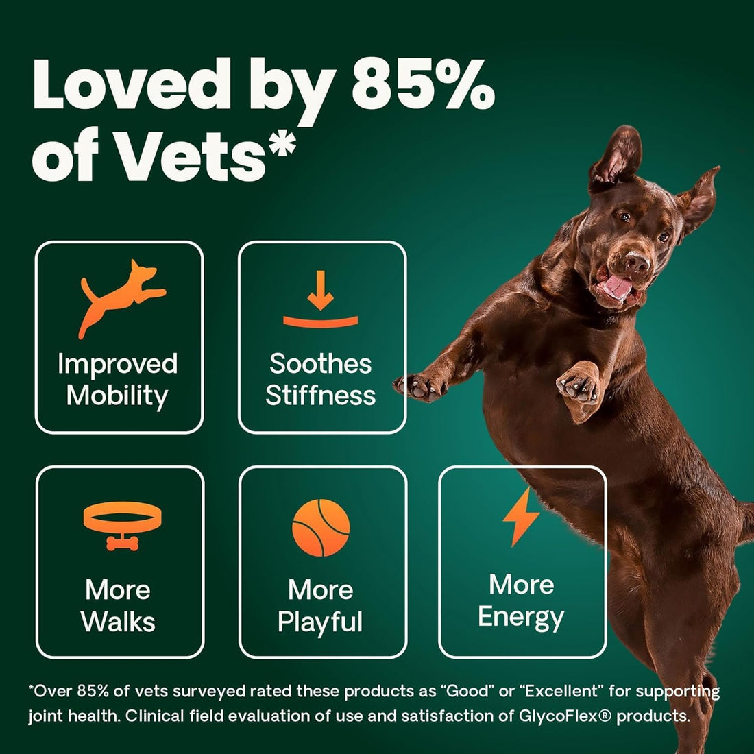 VetriScience Ultimate Strength Healthy Hip & Joint for Small Dogs