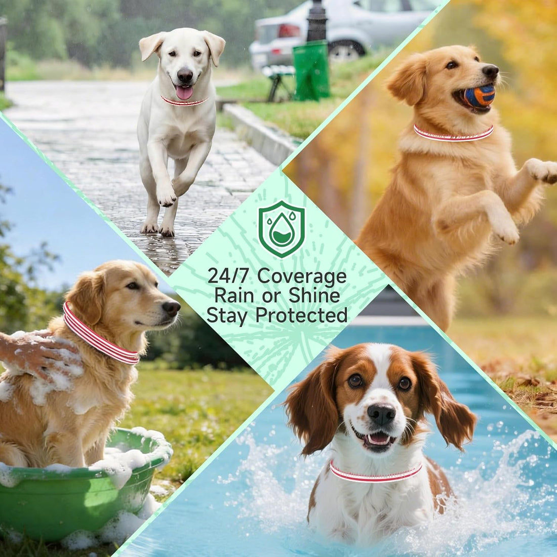Flea and Tick Prevention for Dogs, 4 Flea Collars, 32 Months