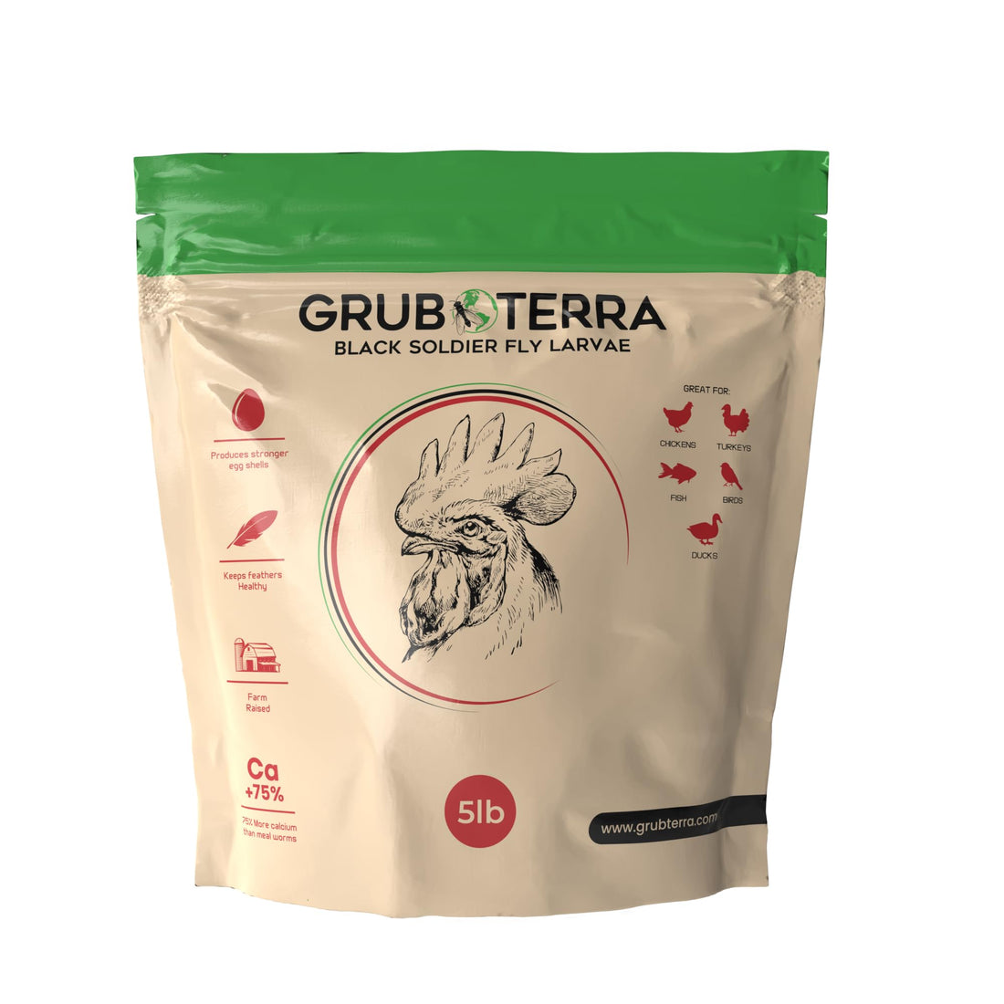 GrubTerra Black Soldier Fly Larvae for Chickens