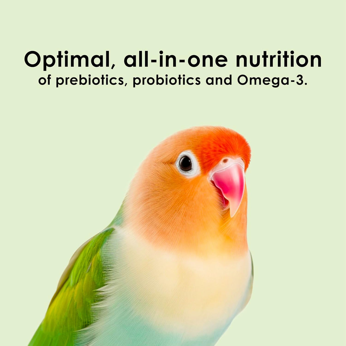 Kaytee Nutri Soft Pet Parrot & Conure Bird Food, 3 Pound