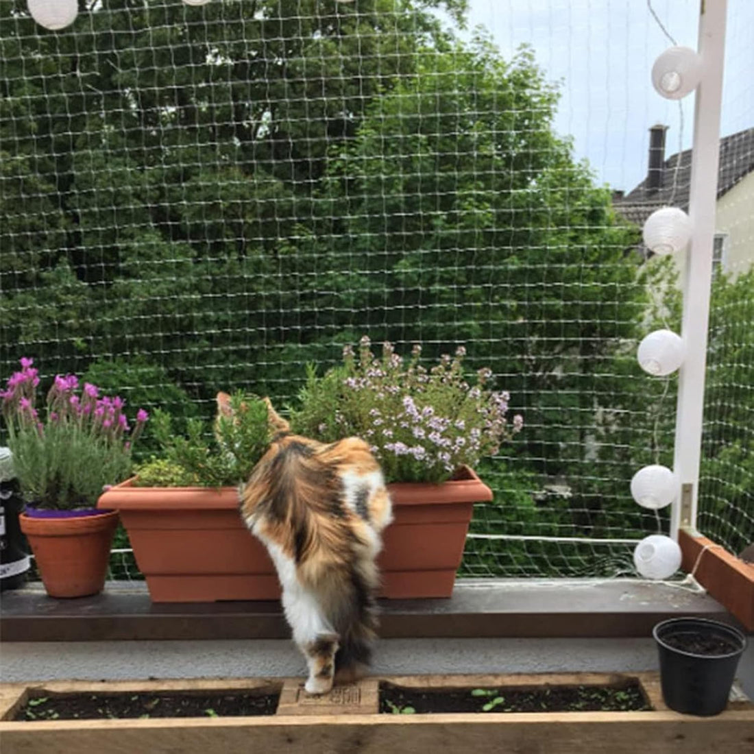 Cat Balcony Net Cat Anti-Fall Fence Net Dog Fence Nets Transparent