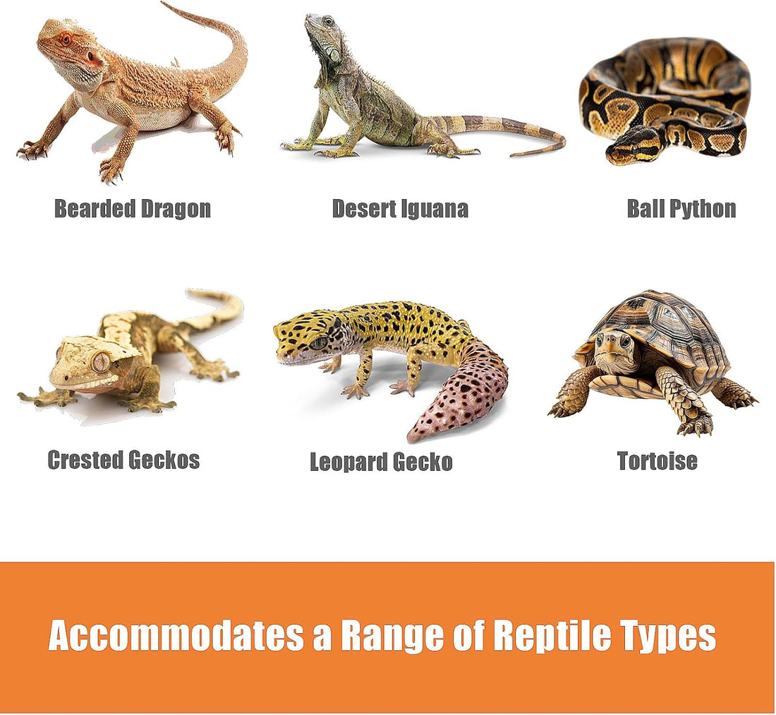 Bearded Dragon Tank Accessories, Reptile Terrarium Liner