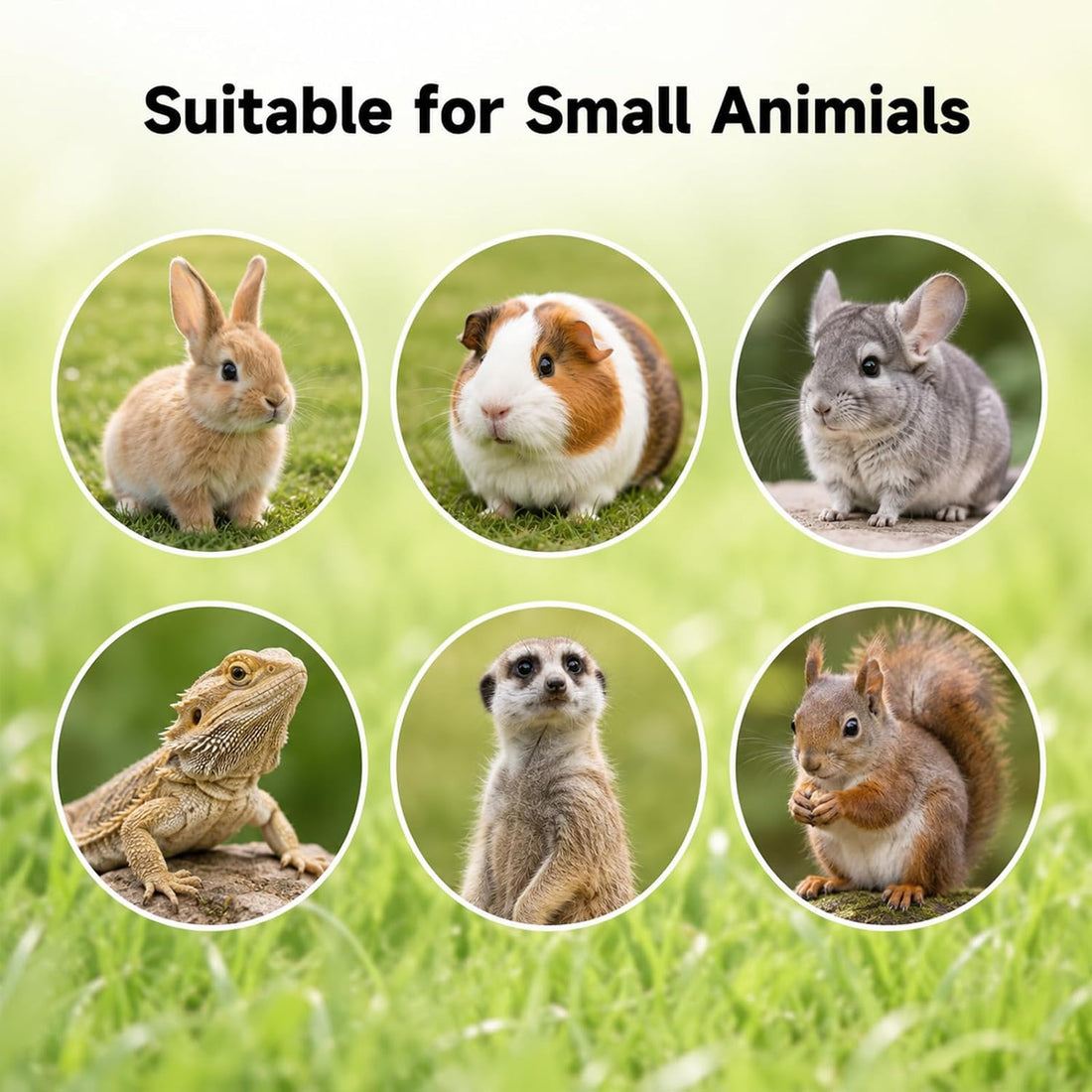 Adjustable Rabbit Harness and Leash Set, 4 Pcs Rabbit Leash