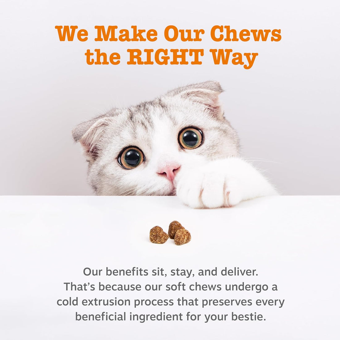 Zesty Paws Cat Calming Bites - Ashwagandha, Bacon, 60 Ct