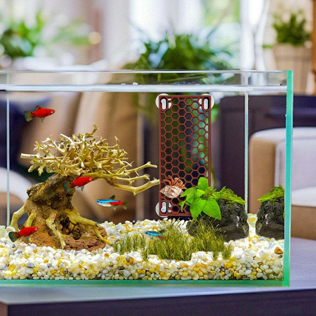 Hermit Crab Climbing Ladder Ramp Toy for Tank Habitat Decor