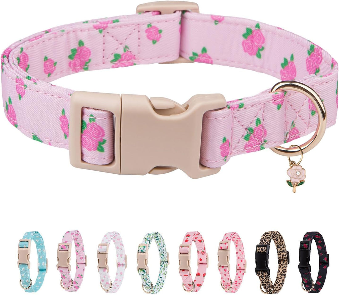 Dog Collar for Small, Medium & Large Dogs(PinkHeart,S)