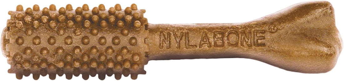 Nylabone Nutri Dent Dog Dental Chews