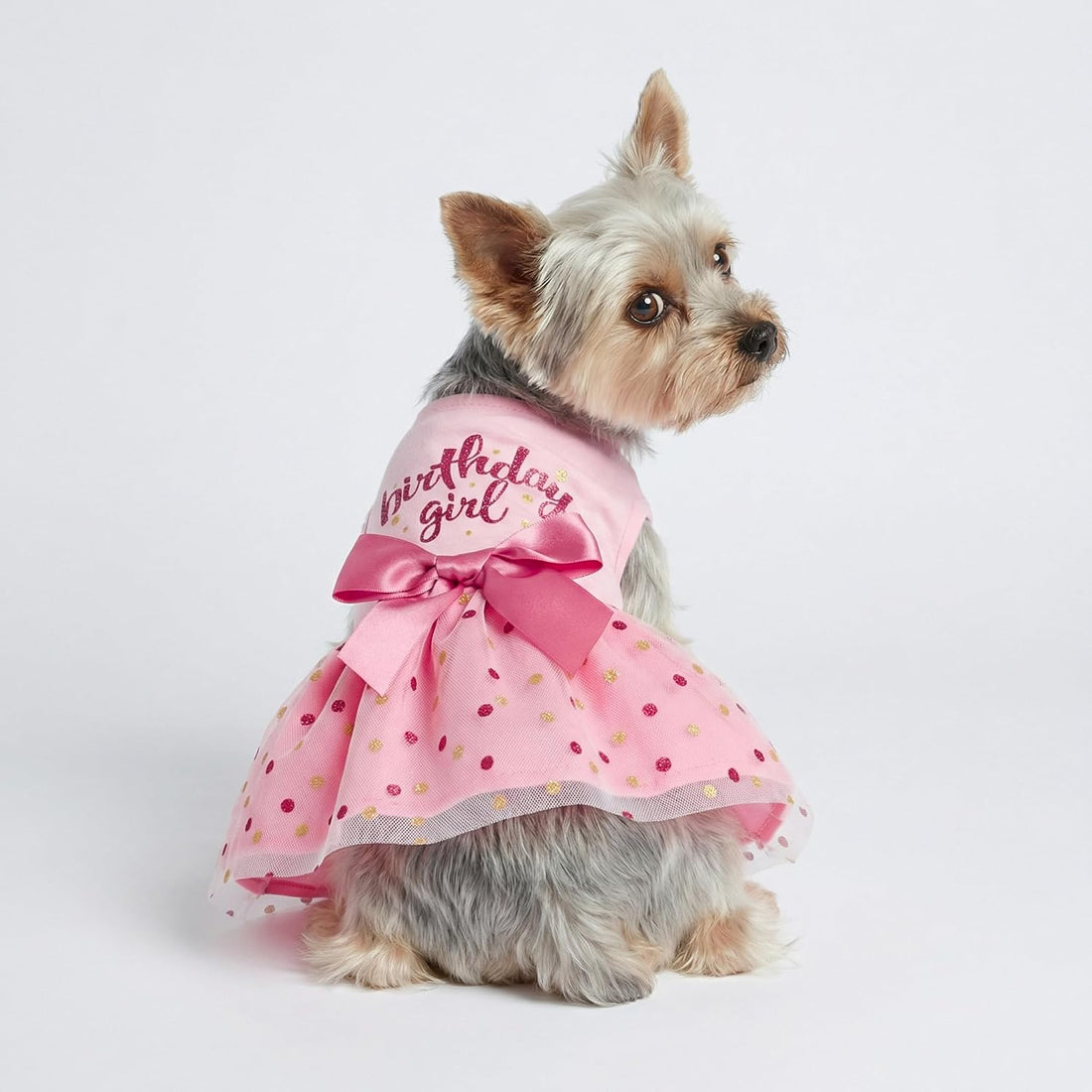 Fitwarm Birthday Girl Dog Tulle Dress, Dog Clothes for Small Dogs Girl