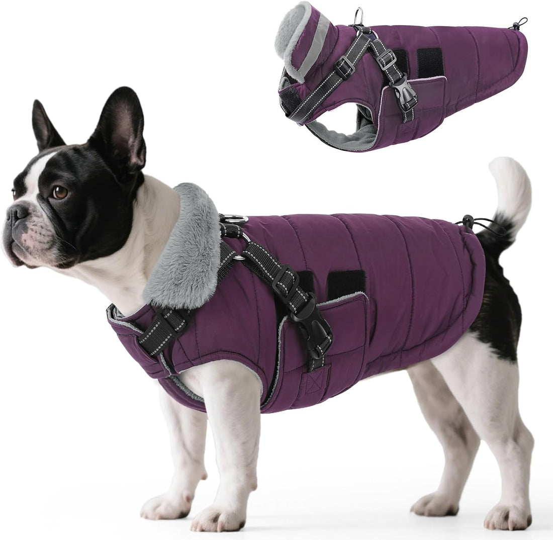 Queenmore Winter Dog Jackets for Medium Dogs with Harness Built-in