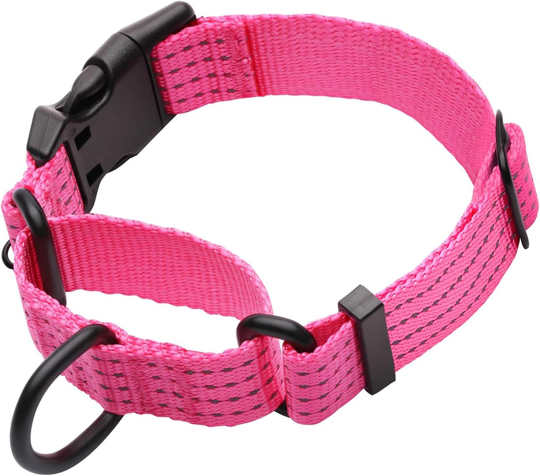 Martingale Dog Collar, Reflective No Pull with Buckle, Blue, M