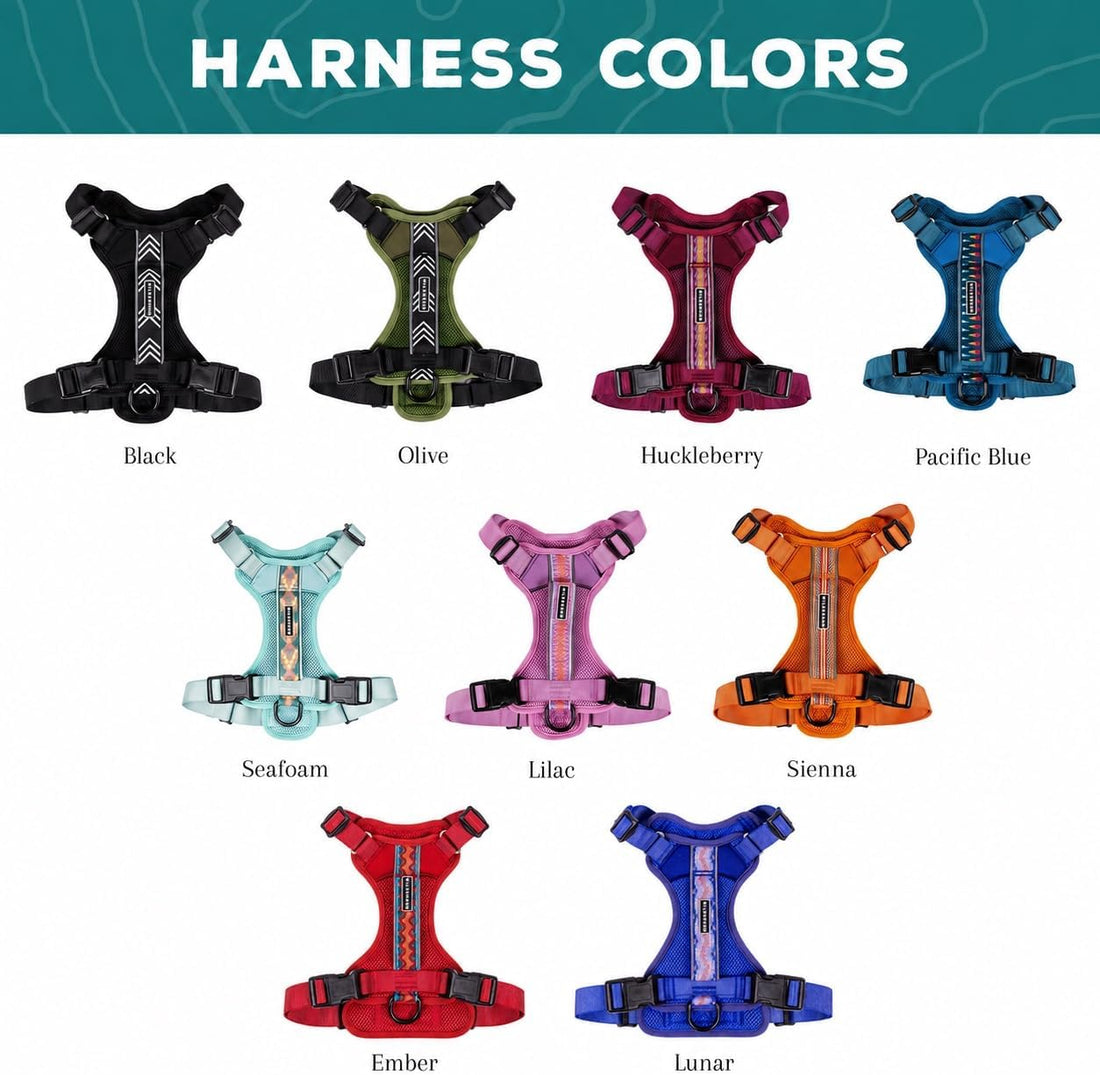 Wilderdog Lightweight Dog Harness with Reflective Straps - Medium