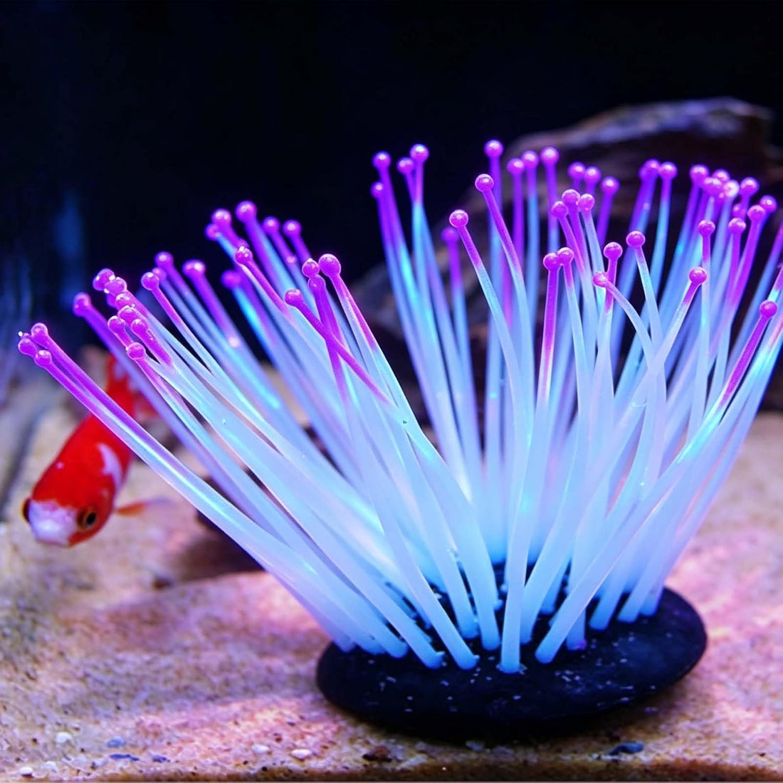 2PCS Artificial Silicone Anemone Coral Plant Glowing Fish Tank Decor