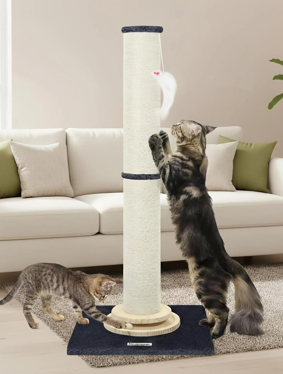 Globlazer Extra Thick Cactus Scratching Posts for Indoor Large Cats