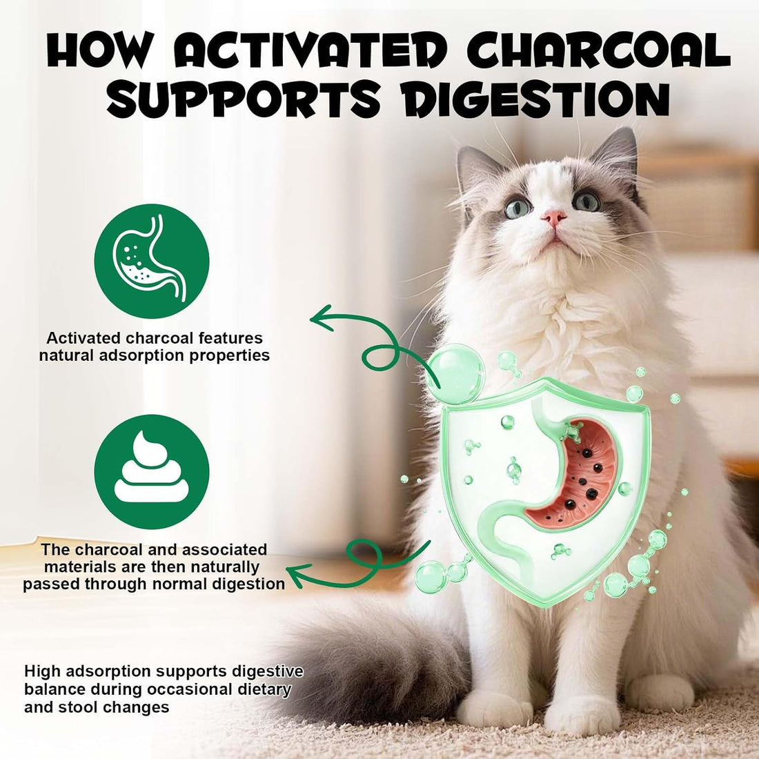 Activated Charcoal for Dogs and Cats