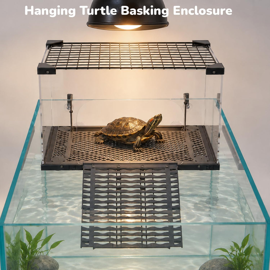 Escape-Proof Turtle Basking Platform Enclosure for 60-Gallon+ Tanks